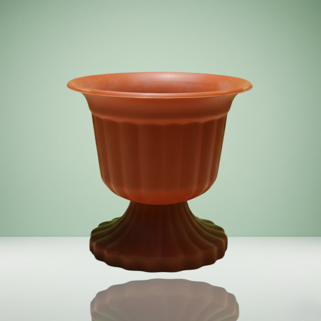 كأس صبار مع قاعدة بلاستيكية